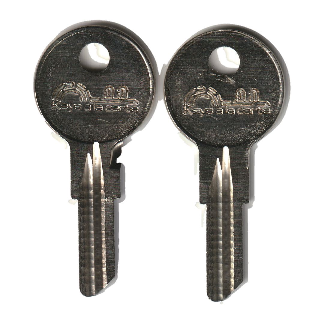 Key code SG001-SG200 Briggs & Stratton replacement key pair, B5 blank