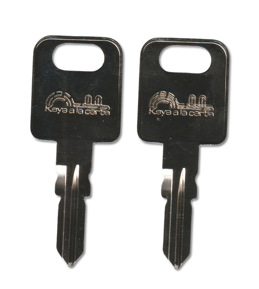 Key code G301-G391 Global Link replacement key pair, FIC3 blank (front)