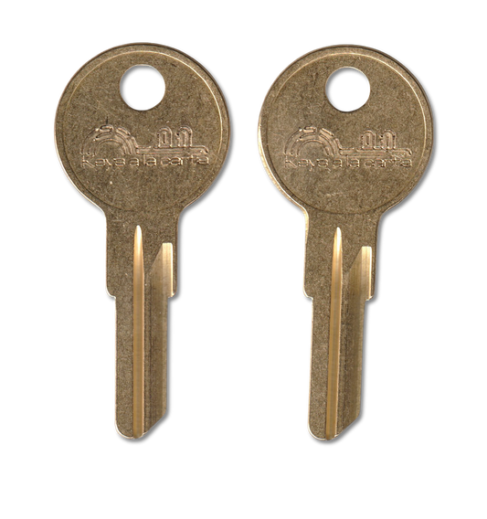 Key code CH501-CH550 Hudson replacement key, Y14 blank