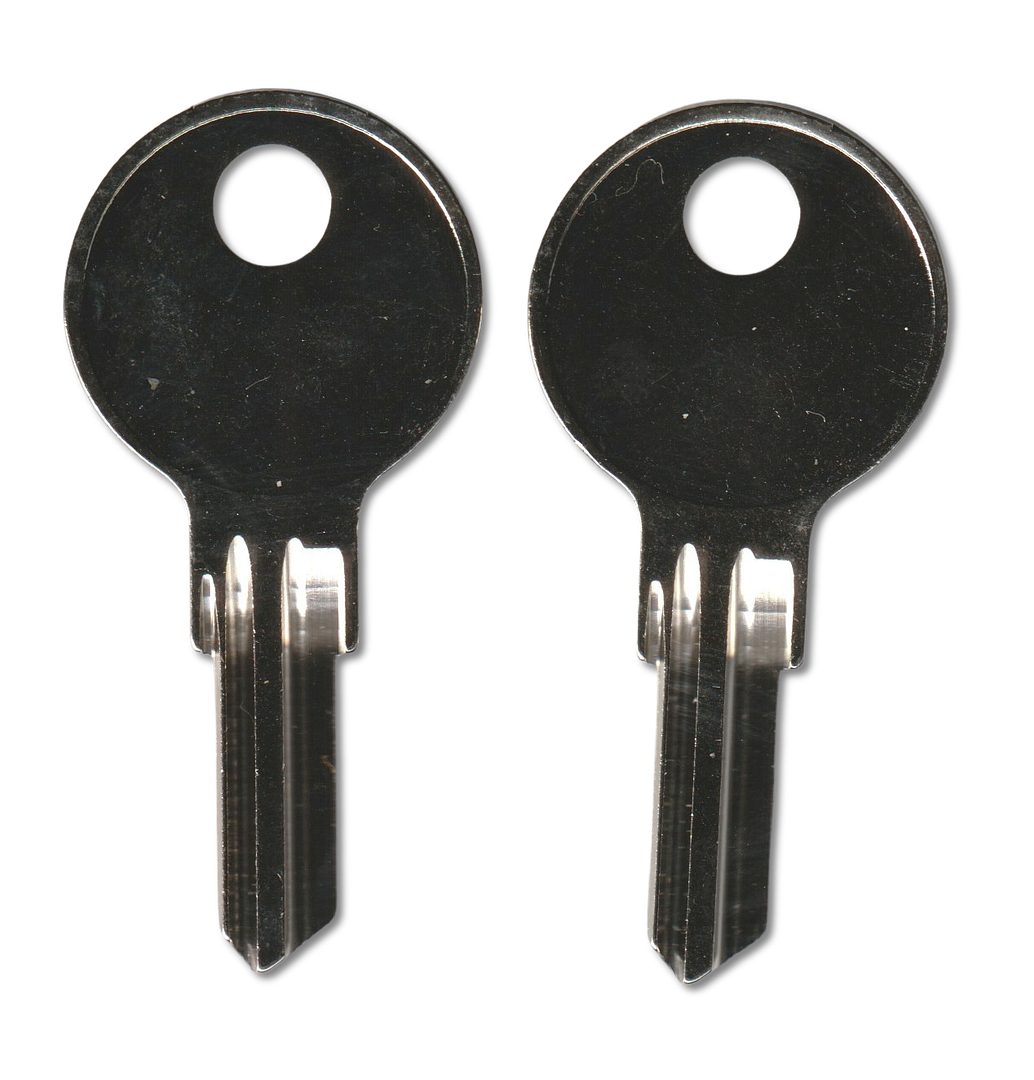 Key code BL01-BL50 Hudson replacement key pair, N54G blank (back)