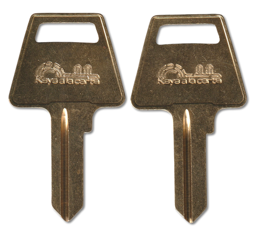 Key code M21001-M21850 American replacement key pair, AM3 blank (front)